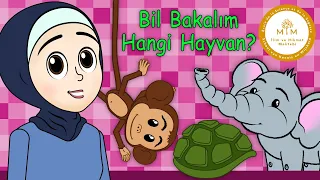 Merve Gülcemal - Bil Bakalım Hangi Hayvan ?