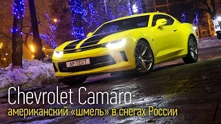 Chevrolet Camaro — мускул-кар 😋с двухлитровым мотором🙁