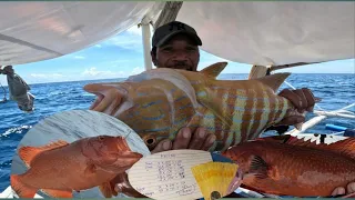 Ang laki ng kita Sa Isang Spot lng..puro pang export redgroper..