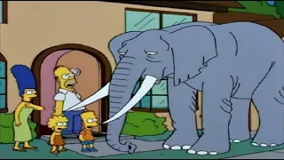 The Simpsons S05E17 - Bart Gets An Elephant Stampy | KBBL Radio | Check Description ⬇️