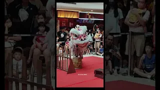 2023 Malaysia Traditional Lion Dance Championship #蓮花苑杯 @ Cheras Leisure Mall #錫米山學校校友會醒獅團