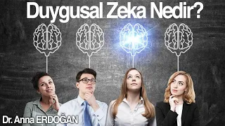 Duygusal Zeka Nedir Nasıl Gelişir?