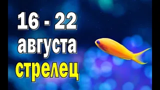 СТРЕЛЕЦ 🌍 СЧАСТЬЕ в ДОМЕ 🌍 неделя с 16 по 22 августа. Таро прогноз гороскоп гадание