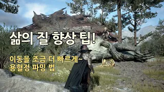 [드래곤즈도그마2] 삶의 질 향상! 조금 더 빠르게 이동하는 법과 용혈정 파밍 팁!