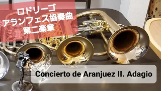 Concierto de Aranjuez Rodirgo II. Adagio ロドリーゴ「アランフェス協奏曲」第二楽章(再アップ)