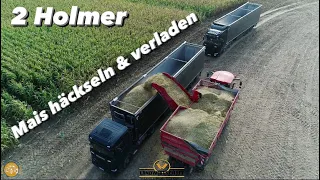 Selbstfahrer bei der Maisernte!  2 Holmer beim Mais Häckseln & Verladen LU Marten & Teune