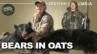 Hunting Big Black Bears in British Columbia | Canada in the Rough