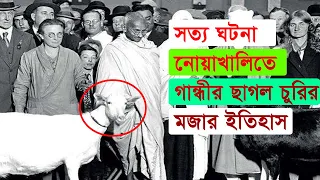 নোয়াখালীতে গান্ধীর ছাগল চুরির মজার ঘটনা !! Noakhali Riot Real story in Bangla