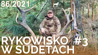 SUDECKA OSTOJA 86/2021. Deer Hunting. Rykowisko polowanie na jelenie. Wild jagen. Chasse au cerf