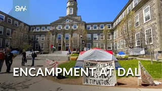 Pro-Palestinian encampment at Dalhousie University - May 13, 2024 | SaltWire #news #halifax #protest
