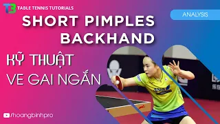 Phân Tích Kỹ Thuật Ve Gai Ngắn | Short Pimples Backhand Analysis | T3 Bóng Bàn