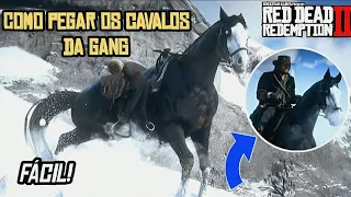 Como Pegar Todos Os Cavalos Da Gang! MÉTODO FACIL - Red Dead Redemption 2