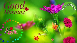 🌹 Good Morning Video 🌹 Santali Love Good Morning Video 🌹 Whatsapp Status Video #Ds3editting