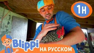 Песенка Про Ферму | Изучай этот мир вместе с Блиппи | Обучающие видео для детей | Blippi Russian