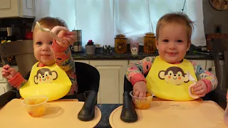 Twins try a mixed fruit cup