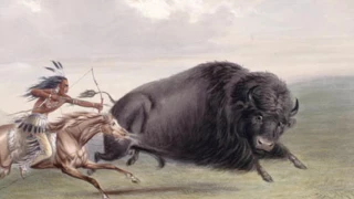 Buffalo Holocaust - Bison Genocide  (30 million animals killed)