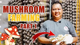 MUSHROOM FARMING (PART 1) | BUHAY AY BUMUTI, DAHIL SA PAGKAKABUTE: A SUCCESS STORY OF MR. CARILLO