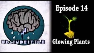 Braindrizzle Ep14 - Glowing Plants!