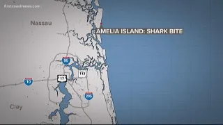 16-year-old girl reportedly bitten by shark in Amelia Island