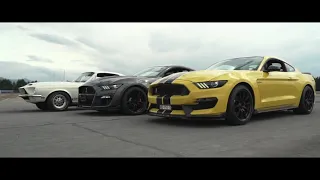 Best of Ford Mustang Shelby |Gangsta's Paradise|