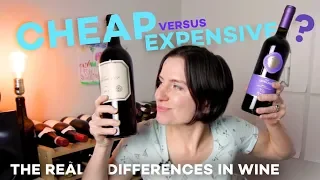 Cheap vs Expensive Wine - What You're Missing