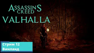 Прохождение игры на 100% Assassin's Creed Valhalla (Вальхалла) Стрим 12 - Винланд