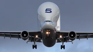 Airbus A300-600ST Beluga landing at Hawarden