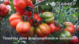 О сортах томатов ДЛЯ ФАРШИРОВКИ И ВЯЛЕНИЯ