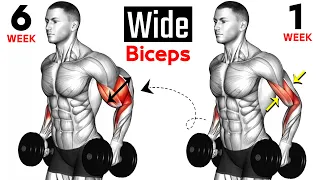 8 BEST Exercises for WIDER BICEPS