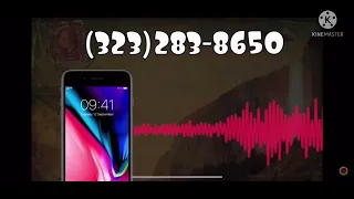 Cipher Hunt Phone Call Reversed (Not My Video that’s playing for this call)