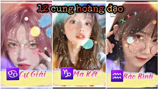 Bí Ẩn 12 Cung Hoàng Đạo Tik Tok 2021 💯 Top 12 Cung Hoàng Đạo Tài Giỏi P. 143