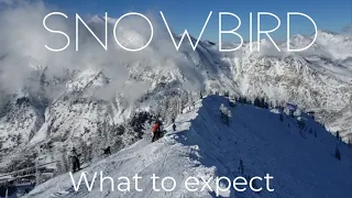 What is Snowbird Like?  This is What You Can Expect