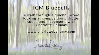 ICM bluebells - woodland Intentional camera movement photography tutorial - Charlotte Bellamy