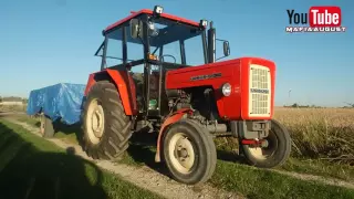 Żniwa 2016 ! Massey Ferguson 430 & Ursus C 360