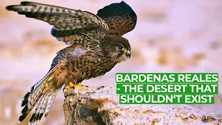 Bardenas Reales - Europe's Impossible Desert | Free Documentary Nature