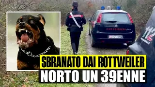 ORRORE AL PARCO: 39ENNE MUORE SBRANATO DA 2 ROTTWEILER A ROMA