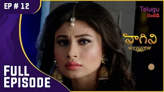 Naagini | నాగిని | Ep. 12 | Shivanya To Kill Suri! | సూరిని చంపనున్న శివన్య!