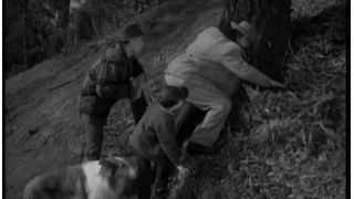 Lassie - Episode #215 - "The Moved Monument" - Season 6 Ep. 33 - 04/24/1960