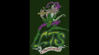 LTS (Long Time Survivor) - A Fleur de Peau ALBUM (Celtic-Folk/Punk/Industrial from France)