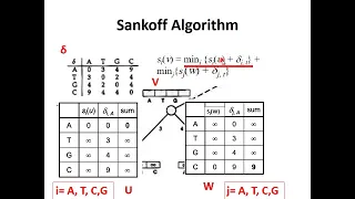Sankoff Algorithm: Dynamic Programming