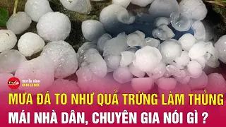 Chuyên gia lý giải về trận mưa đá ào ào trút xuống miền núi Nghệ An, có hạt to bằng nắm tay | Tin24h