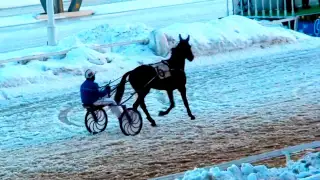 ЦМИ.Ипподром.Сезон 2015.Часть 4.Зимнее Дерби.