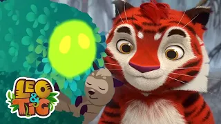 Leo & Tig - El misterio del bosque quemado y más episodios | caricaturas para bebés en MOOLT