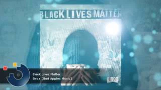 Birdz - Black Lives Matter [FULL SONG]