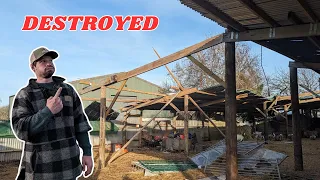 Our shed got DESTROYED!