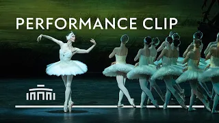 Swan Lake with Olga Smirnova, Constantine Allen and Corps de Ballet | Dutch National Ballet