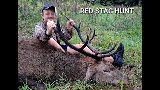 Red Stag Roar Deer Hunting Australia