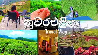 සීතල නුවරඑළියේ ගෙවී ගිය දින තුනක්..||🌿🥶Nuwara Eliya Travel Vlog|| ❤🌿Hill Country 😶‍🌫️🍃🌨️......❤️