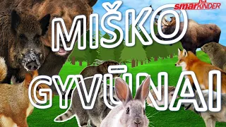 ✅ Miško gyvūnai (Gyvūnai 2 dalis) | SmartkinderTV | Filmukai vaikams lietuviškai