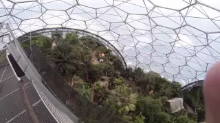 View from Rainforest Canopy Walkway at the Eden Project